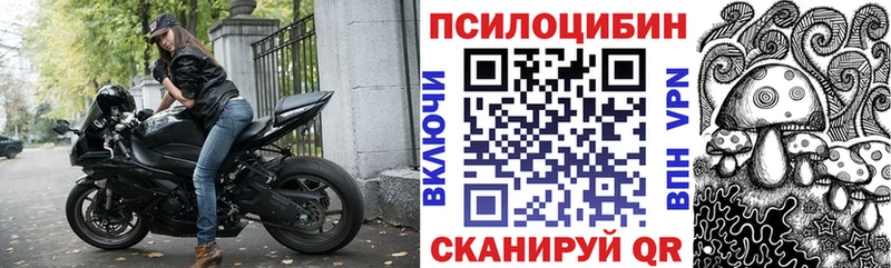 Купить закладки  Муром  Псилоцибиновые грибы мухоморы 