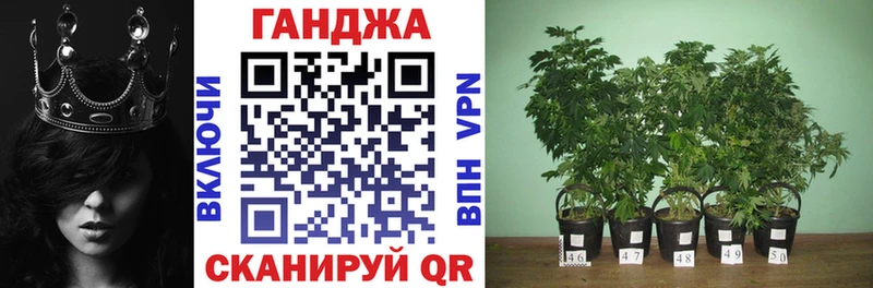 Купить закладки  Муром  Бошки марихуана Ganja 